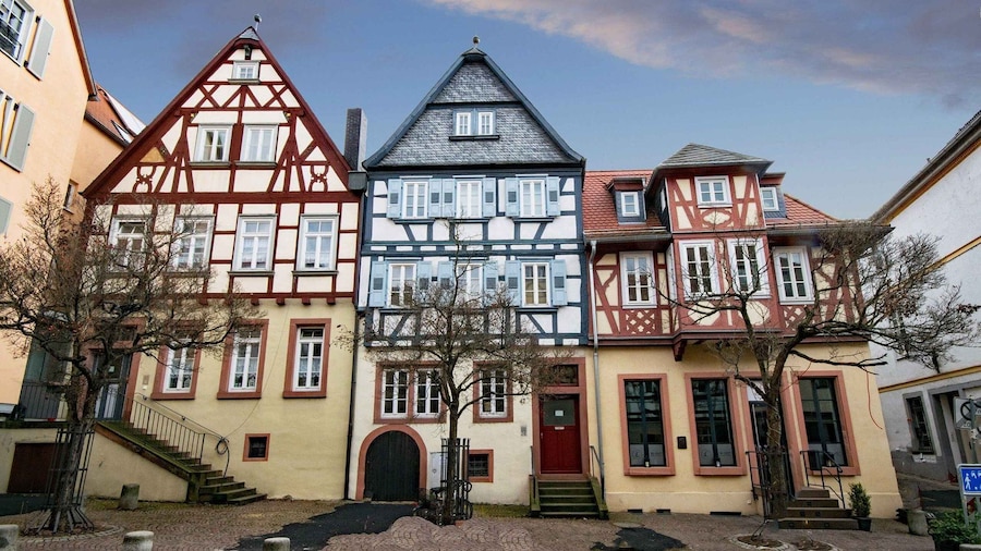 Aschaffenburg: Private Guided Walking Tour