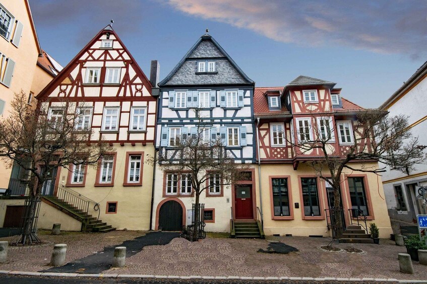 Aschaffenburg: Private Guided Walking Tour