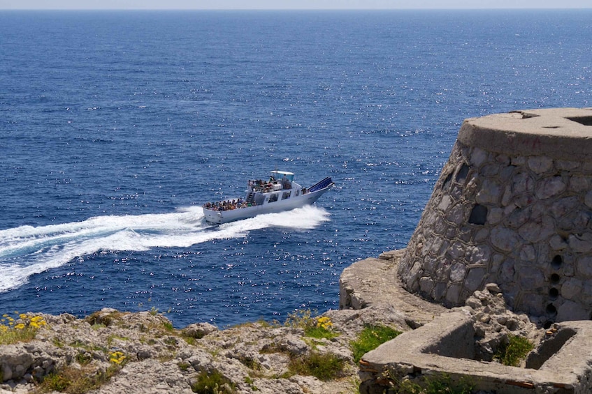 Picture 8 for Activity Capri: Guided Island Highlights Boat Tour