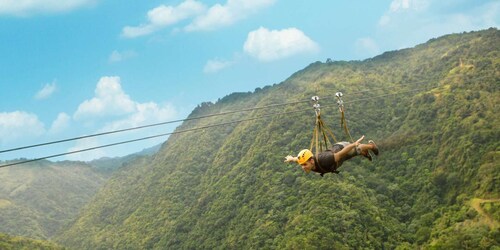 Porto Rico : La tyrolienne de la Bête au parc d'aventure Toro Verde