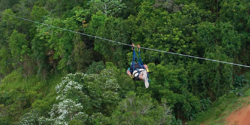 Picture 1 for Activity Puerto Rico: The Beast Zipline at Toro Verde Adventure Park