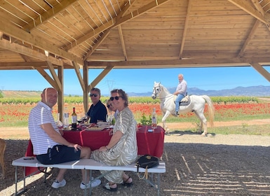Boutique Rioja Wine Tour with Charming Lunch (From Bilbao)