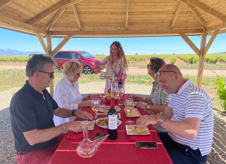 Picture 4 for Activity From Bilbao: Two Rioja Wineries Day Trip with Picnic Lunch