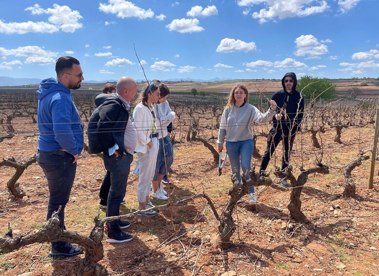 Picture 2 for Activity From Bilbao: Two Rioja Wineries Day Trip with Picnic Lunch