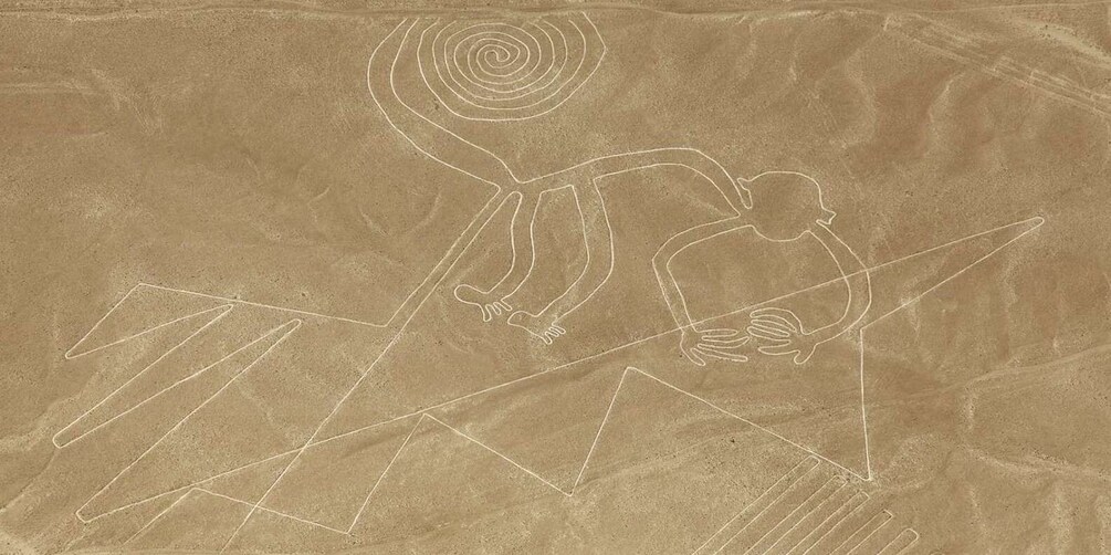 Picture 2 for Activity Nazca Lines FullDay from Lima: Fly Over Mystics Geoglyphs