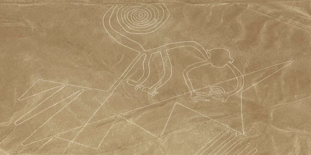 Picture 2 for Activity Nazca Lines FullDay from Lima: Fly Over Mystics Geoglyphs