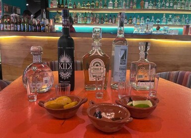 Mexico City: Tequila and Mezcal Museum Tour with Tasting