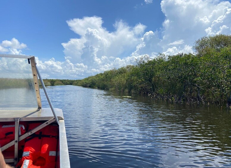 Picture 7 for Activity Miami: Half-Day Everglades Tour