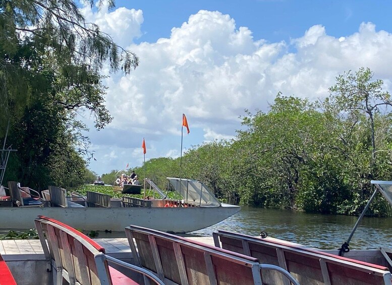 Picture 4 for Activity Miami: Half-Day Everglades Tour