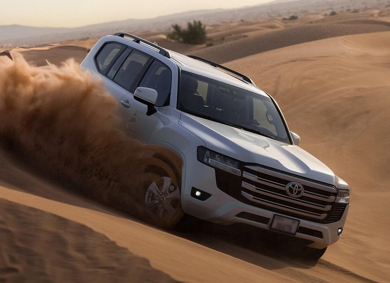 Doha: Desert Safari with Activities and Inland Sea Stop