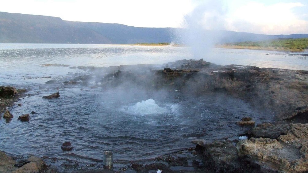 Picture 3 for Activity 6 Days Lake Bogoria , Lake Nakuru, Lake Naivasha And Maasai