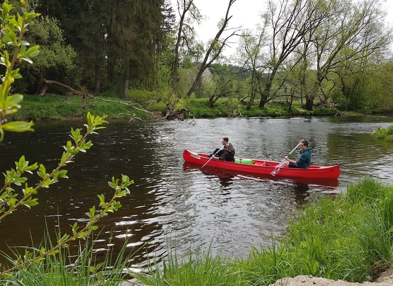 Picture 8 for Activity From Viechtach: Regen River Canoe Tour to Höllensteinsee