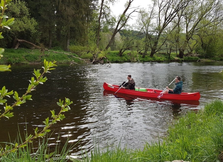 Picture 8 for Activity From Viechtach: Regen River Canoe Tour to Höllensteinsee