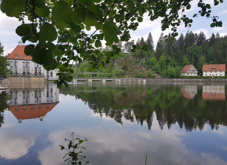 Picture 3 for Activity From Viechtach: Regen River Canoe Tour to Höllensteinsee