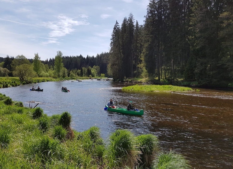 Picture 6 for Activity From Viechtach: Regen River Canoe Tour to Höllensteinsee