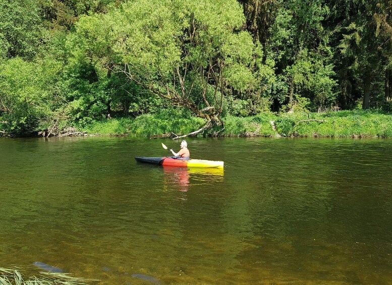 Picture 1 for Activity From Viechtach: Regen River Canoe Tour to Höllensteinsee