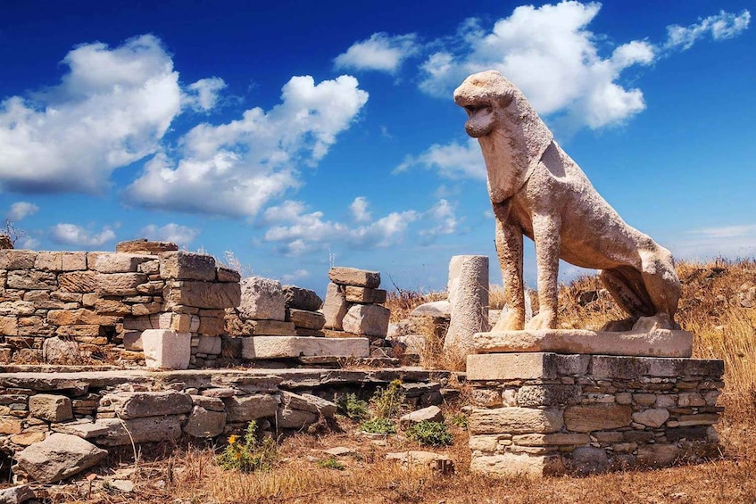 From Naxos: Private Delos Island Boat Tour