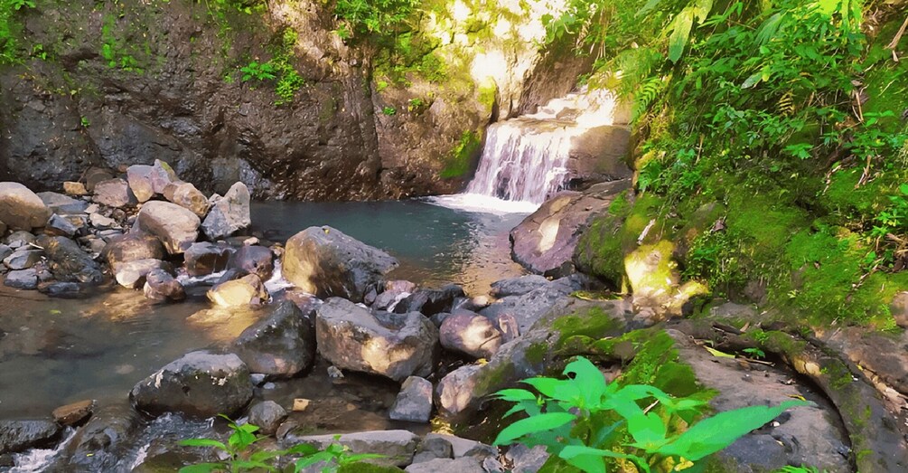Picture 13 for Activity Panama City: Ultimate ATV Jungle & Volcano Adventure