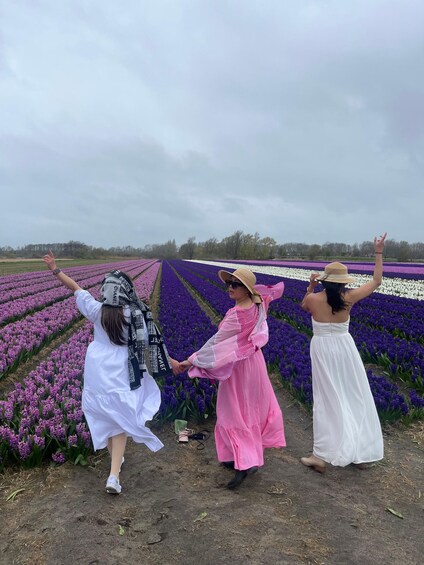 Picture 2 for Activity Lisse: Private Tulip Fields Tour Private Driver