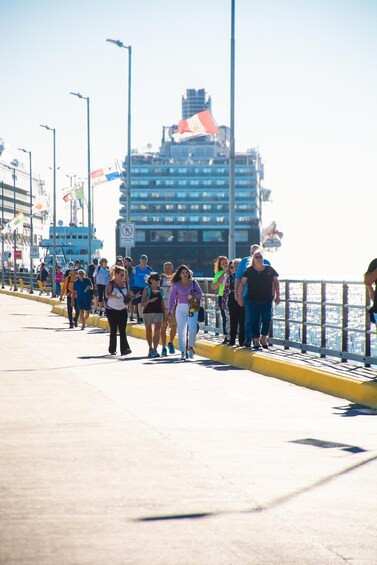 Picture 6 for Activity Punta Tombo 6-Hour Shore Excursion from Puerto Madryn