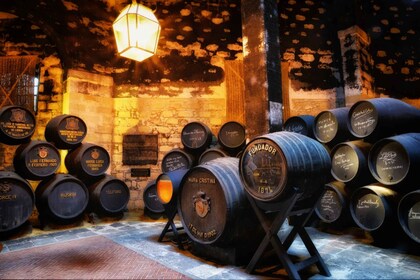 Jerez: Bodegas Fundador Guided Tour with Tasting Session