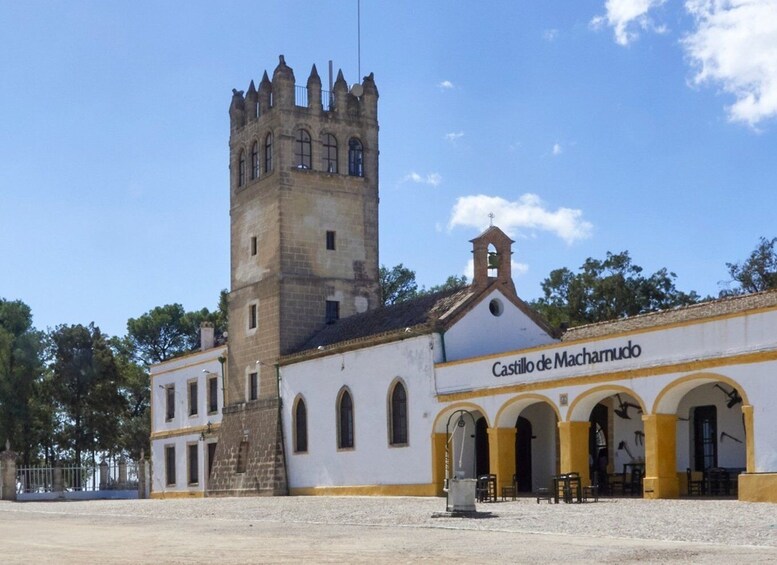 Picture 3 for Activity Jerez: Bodegas Fundador Guided Tour with Tasting Session