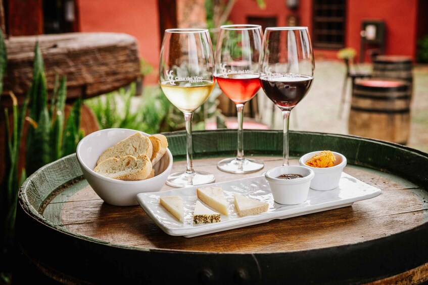 Picture 2 for Activity Tenerife: Wine Museum Ticket with Local Wines & Food Tasting