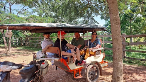 Tuktuk tours: Pepper farm, salt fields and secret lake