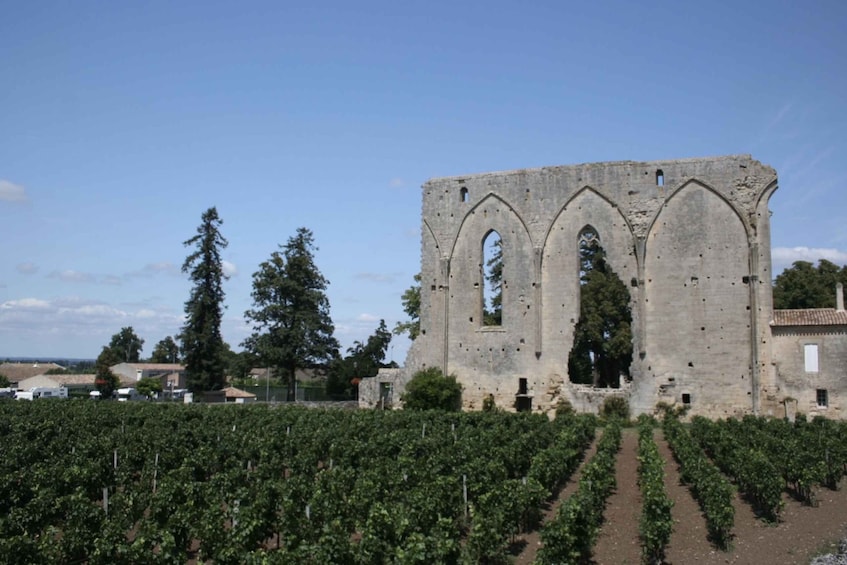 Picture 2 for Activity Saint-Émilion: Private Walking Tour & Magnificent Views