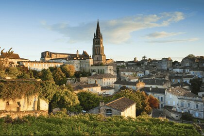 Saint-Émilion: Privat rundvandring och magnifika vyer