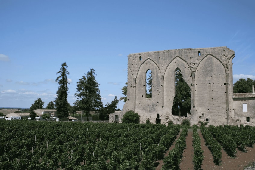 Picture 2 for Activity Saint-Émilion: Private Walking Tour & Magnificent Views