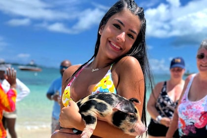 Nassau: Swimming Pigs, Snorkeling, Lunch, & Beach Boat Tour