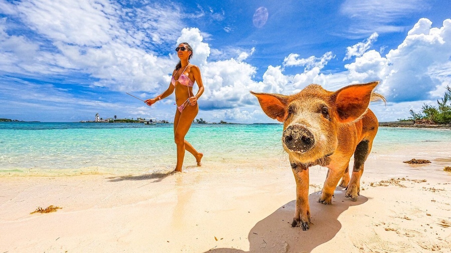 Nassau: Swimming Pigs, Snorkeling and Beach Boat Tour