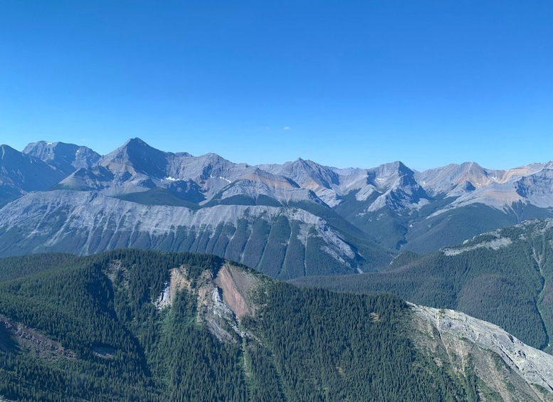 Picture 3 for Activity Jasper: Helicopter Tour with Mountain Top Landing and Hike