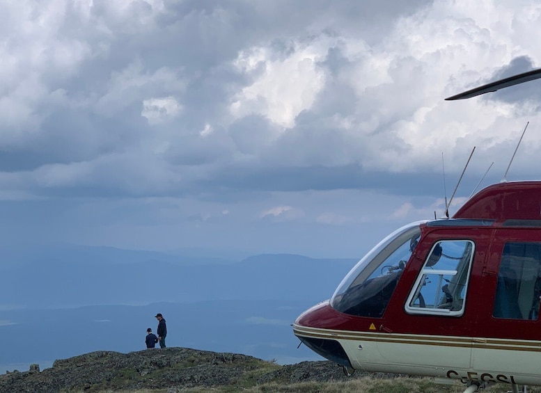 Picture 1 for Activity Jasper: Helicopter Tour with Mountain Top Landing and Hike