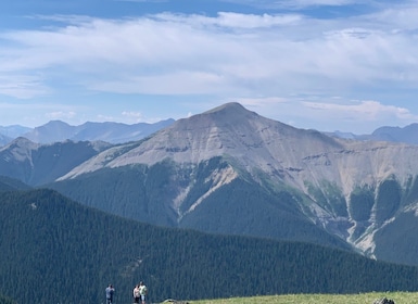 Jasper: Helicopter Tour with Mountain Top Landing and Hike