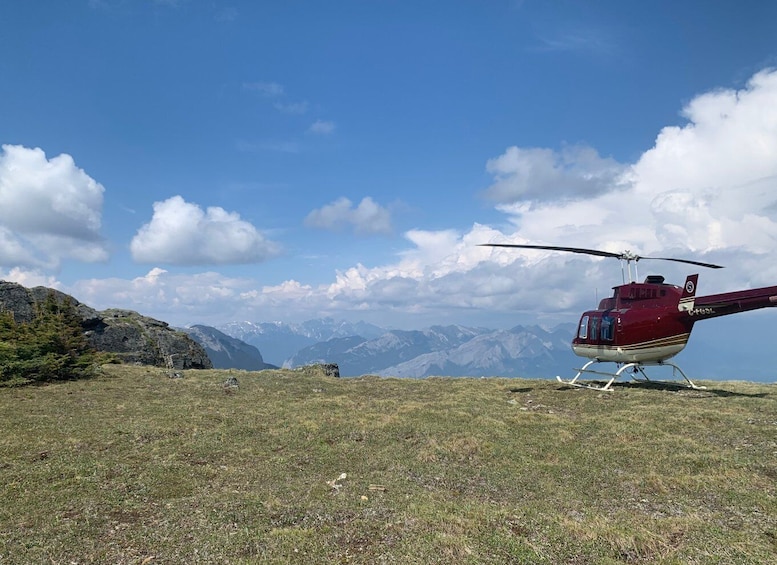 Picture 4 for Activity Jasper: Helicopter Tour with Mountain Top Landing and Hike