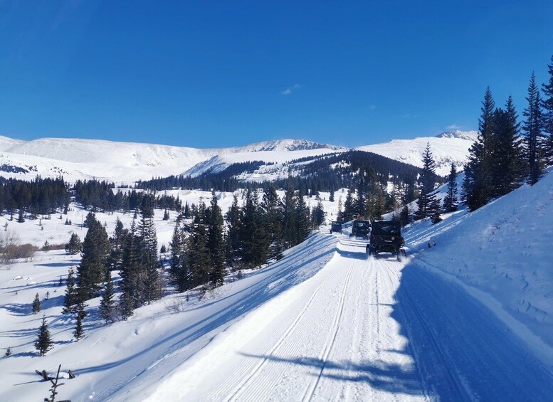 Picture 9 for Activity Hatcher Pass: Heated & Enclosed ATV Tours - Open All Year!