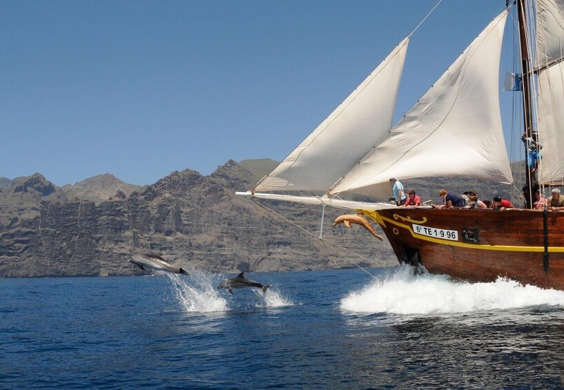 Picture 2 for Activity Los Gigantes: Dolphin and Whale Watching Tour with Drinks