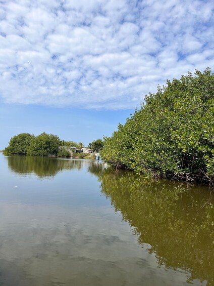 Picture 5 for Activity Cartagena Native Fishing Through The Mangroves