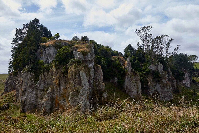 Picture 5 for Activity From Auckland or Rotorua: Hobbiton & Waitomo Tour with Lunch