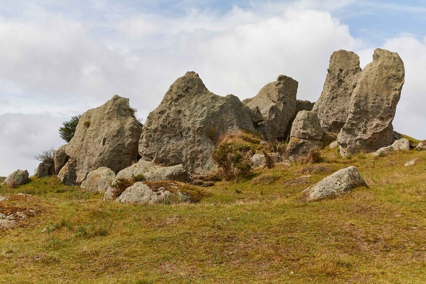 Picture 4 for Activity From Auckland or Rotorua: Hobbiton & Waitomo Tour with Lunch