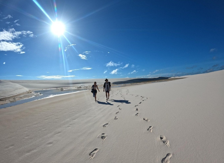 Picture 6 for Activity From Barreirinhas: Lencois Maranhenses National Park