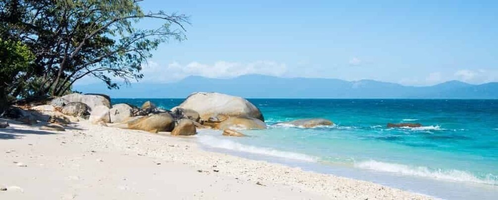 Picture 3 for Activity From Cairns: Fitzroy Island Round Trip Boat Transfers