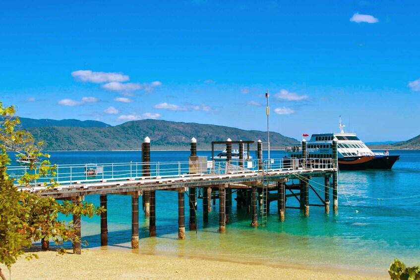 Picture 1 for Activity From Cairns: Fitzroy Island Round Trip Boat Transfers