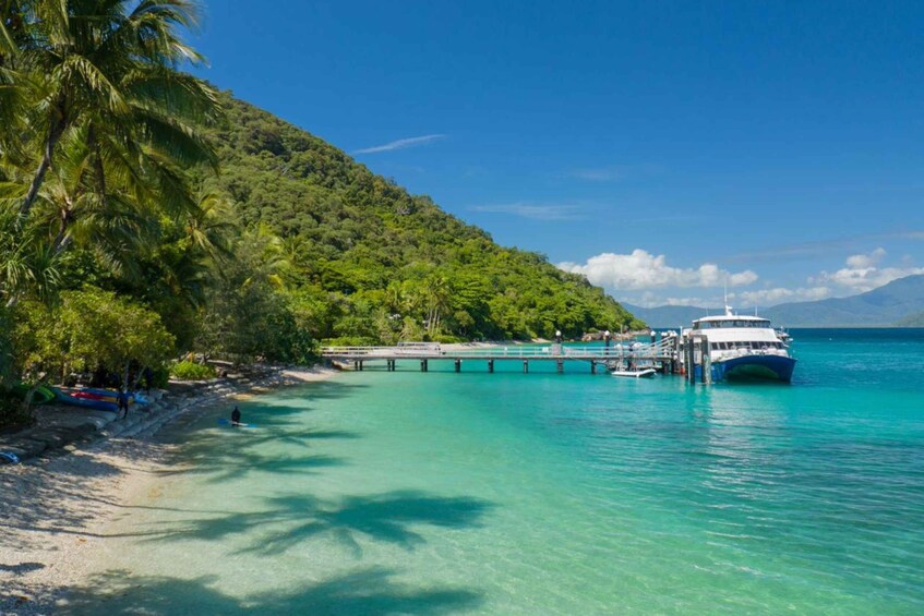 Picture 5 for Activity From Cairns: Fitzroy Island Round Trip Boat Transfers