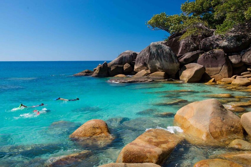 Picture 2 for Activity From Cairns: Fitzroy Island Round Trip Boat Transfers