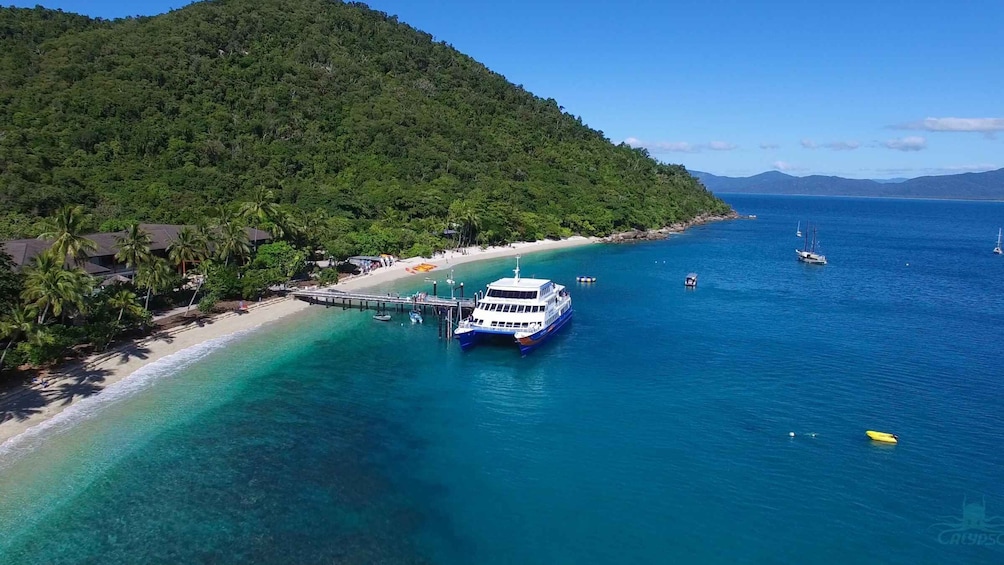 Picture 3 for Activity From Cairns: Fitzroy Island Round Trip Boat Transfers