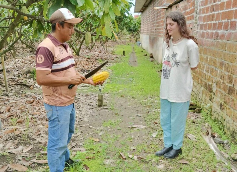 Picture 1 for Activity Guayaquil Cloud forest and cocoa farm tour & Lunch