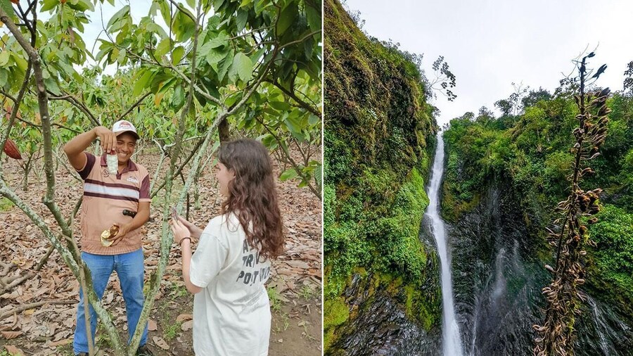 Guayaquil Cloud forest and cocoa farm tour & Lunch